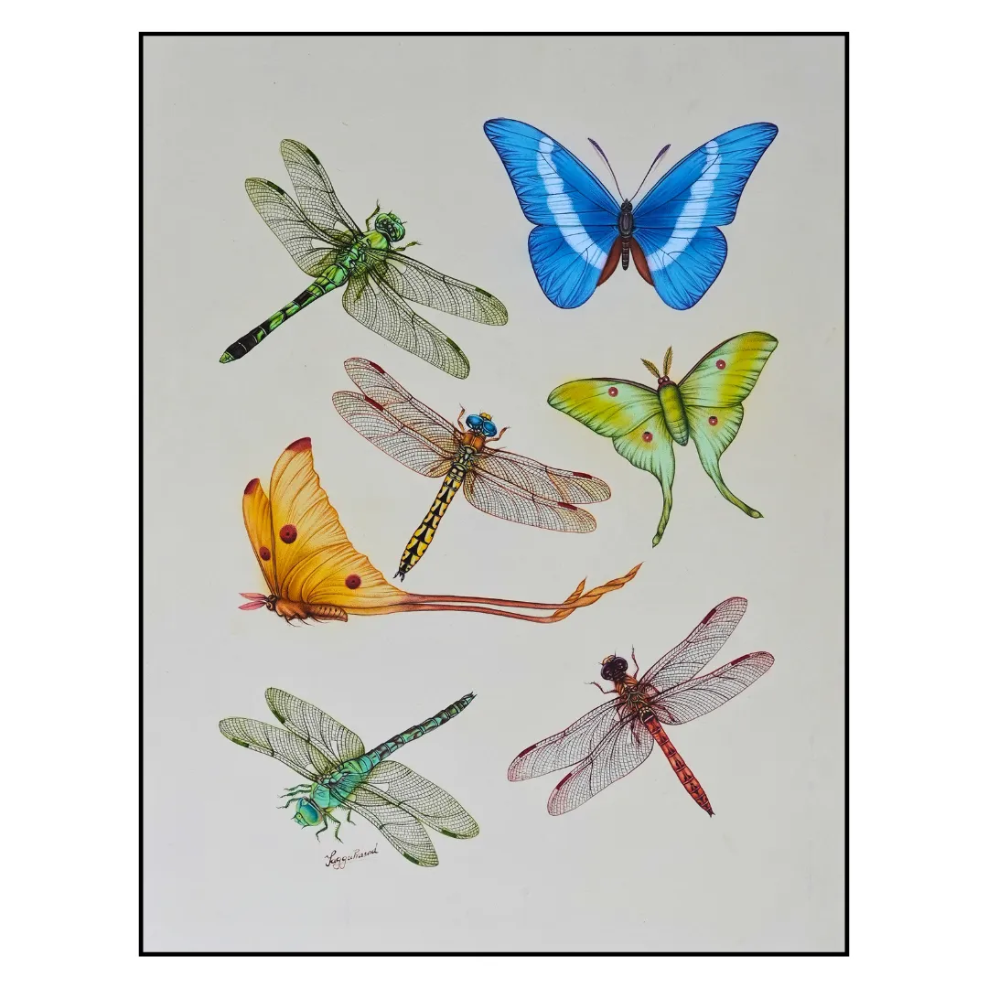 Wings of Wonder