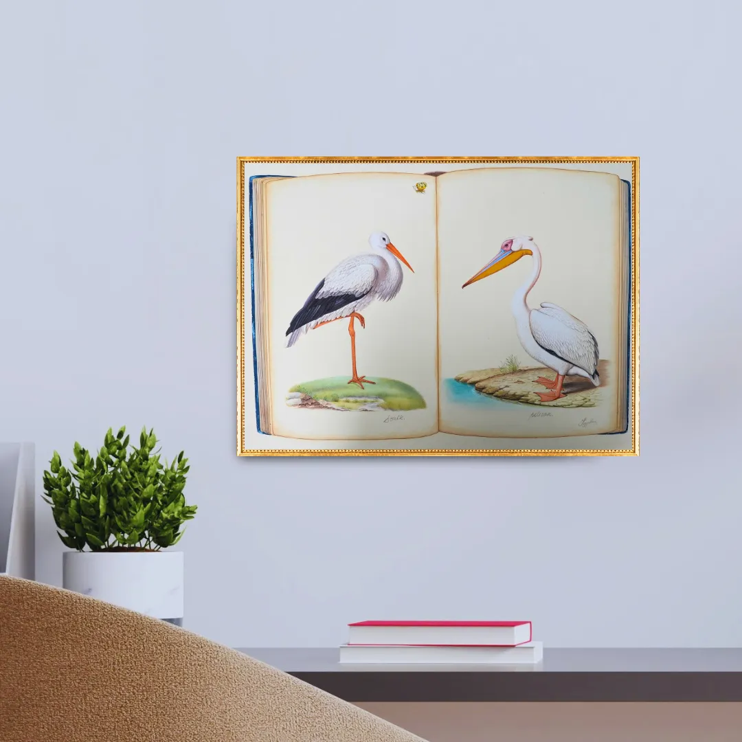 Avian Study