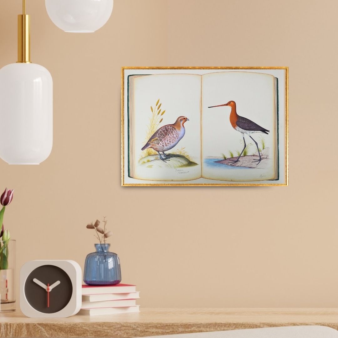 The Naturalists Journal