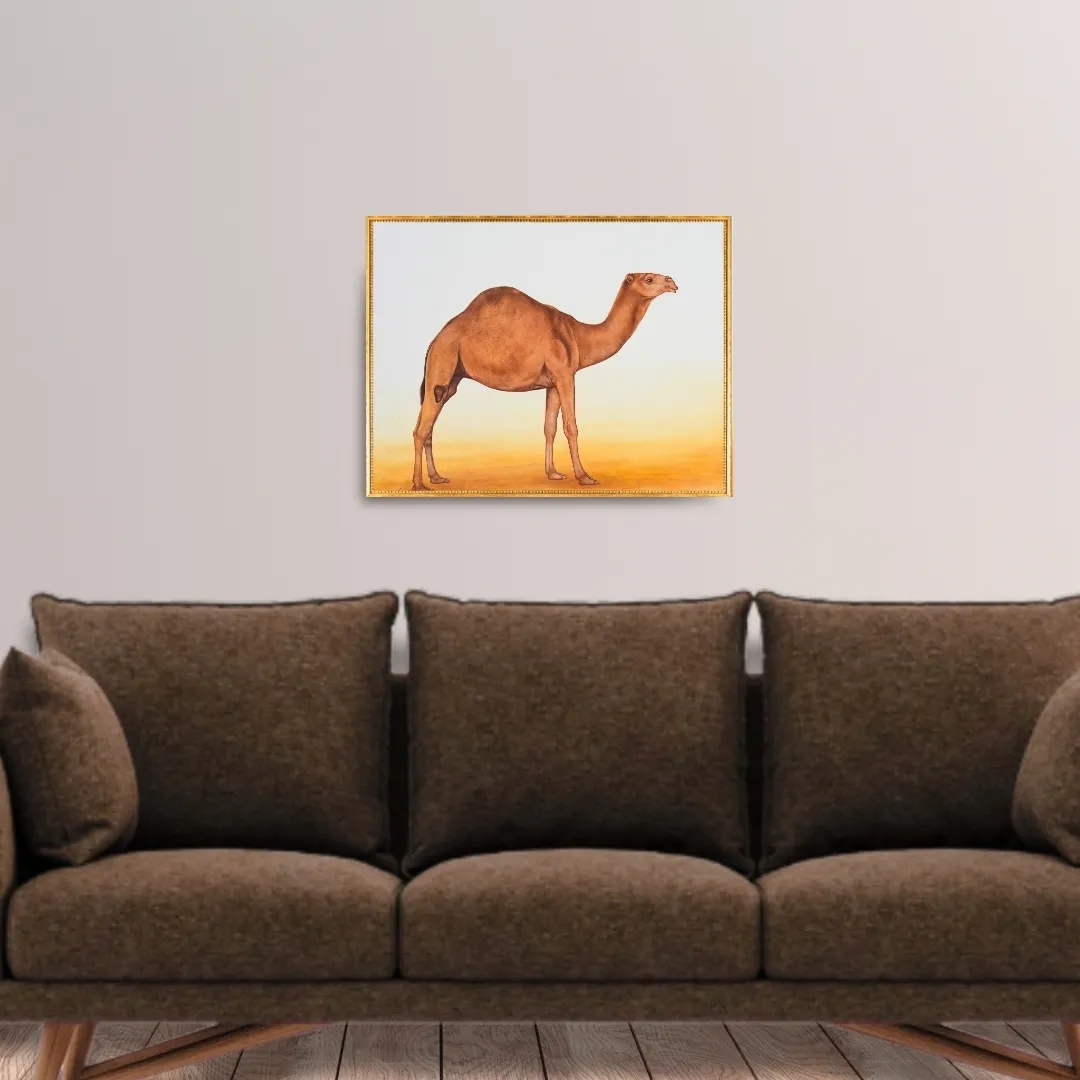 Desert Grace 