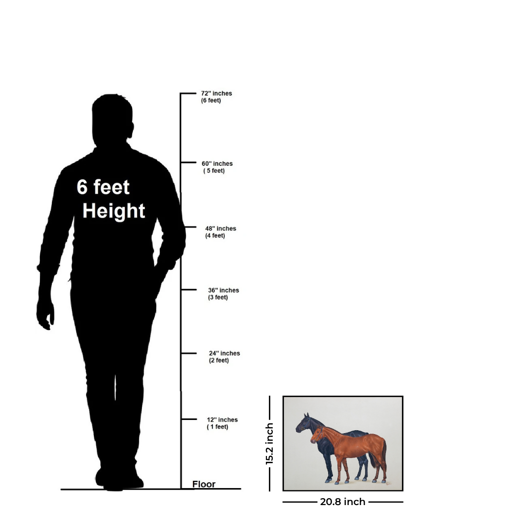 Majesty in Stillness