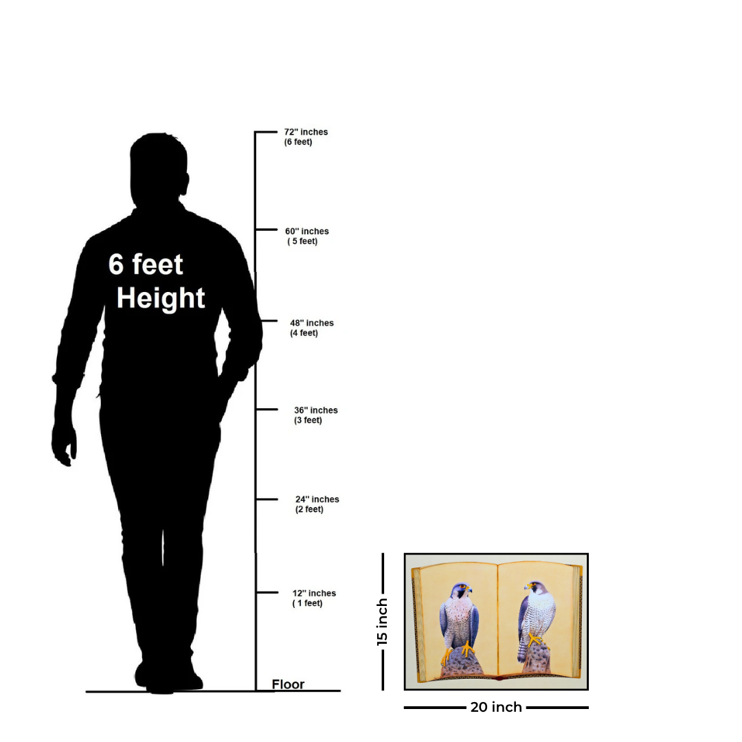 Falcon Folio - Edition 3