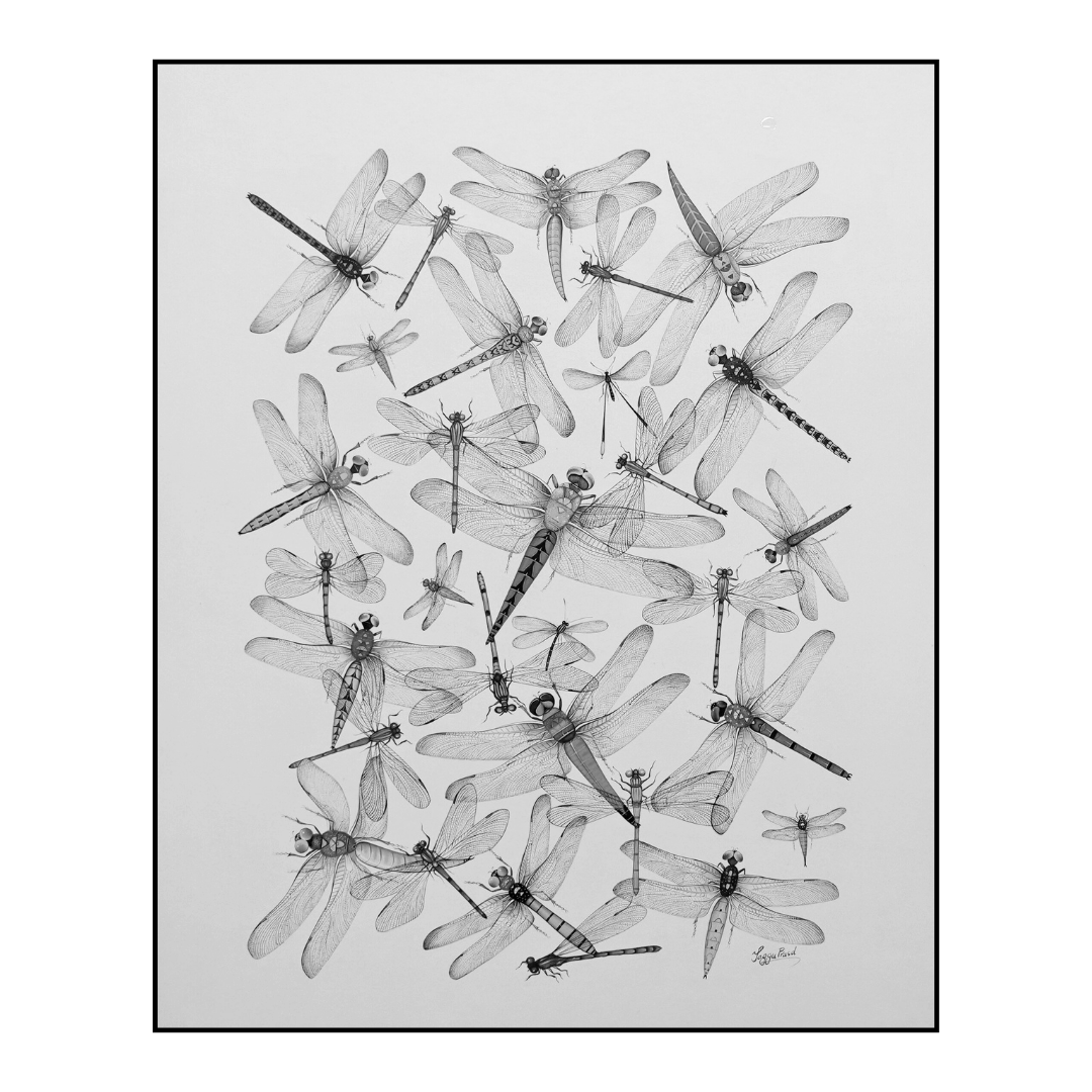 Fleeting Spark: Fireflies 3