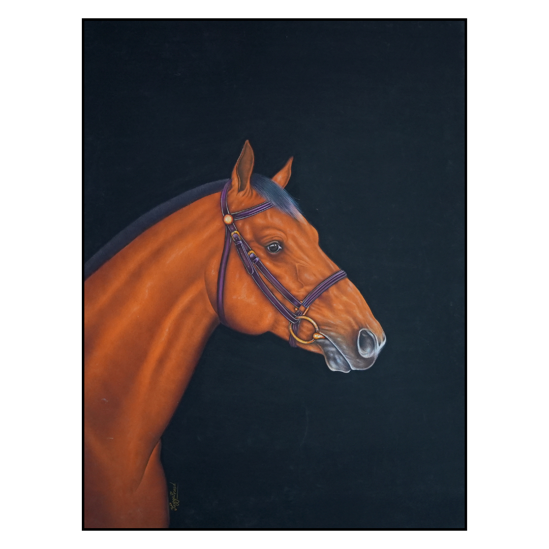 The Luminous Steed