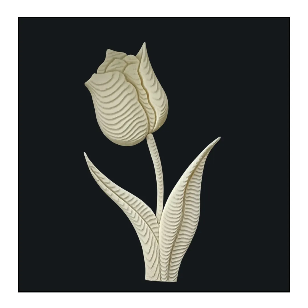 Fresh Tulip