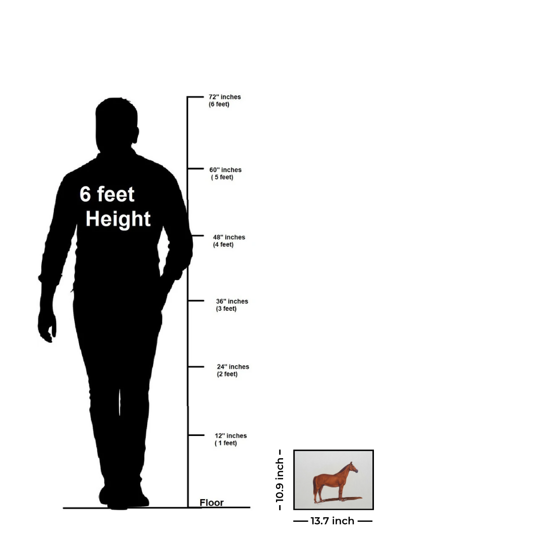 The Brown Silhouette