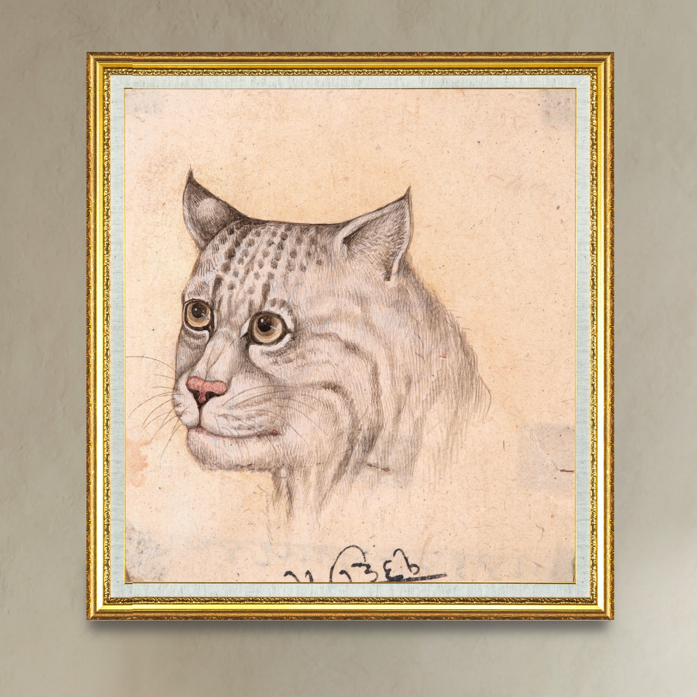 Gentle Watch of the Pale Wild Cat