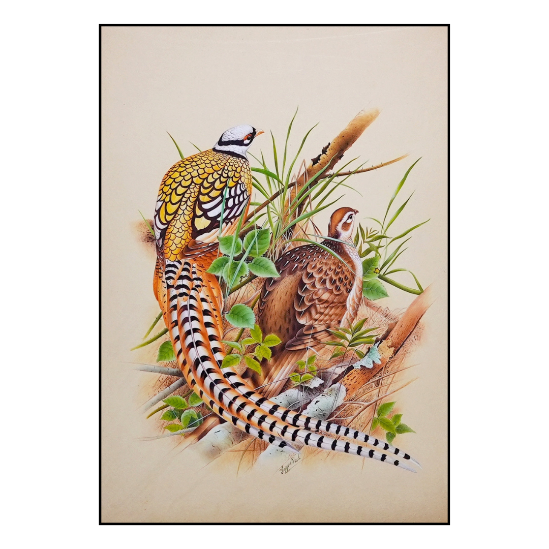 The Poetry of Plumage