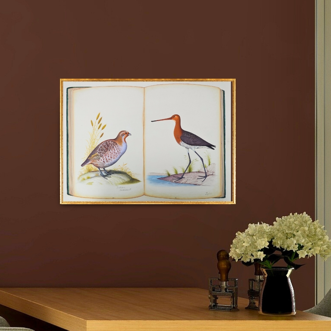 The Naturalists Journal