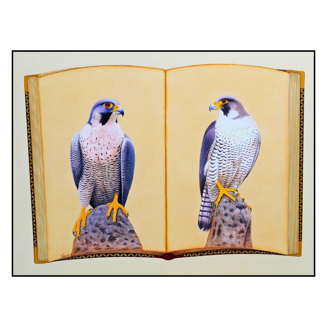 Falcon Folio - Edition 3