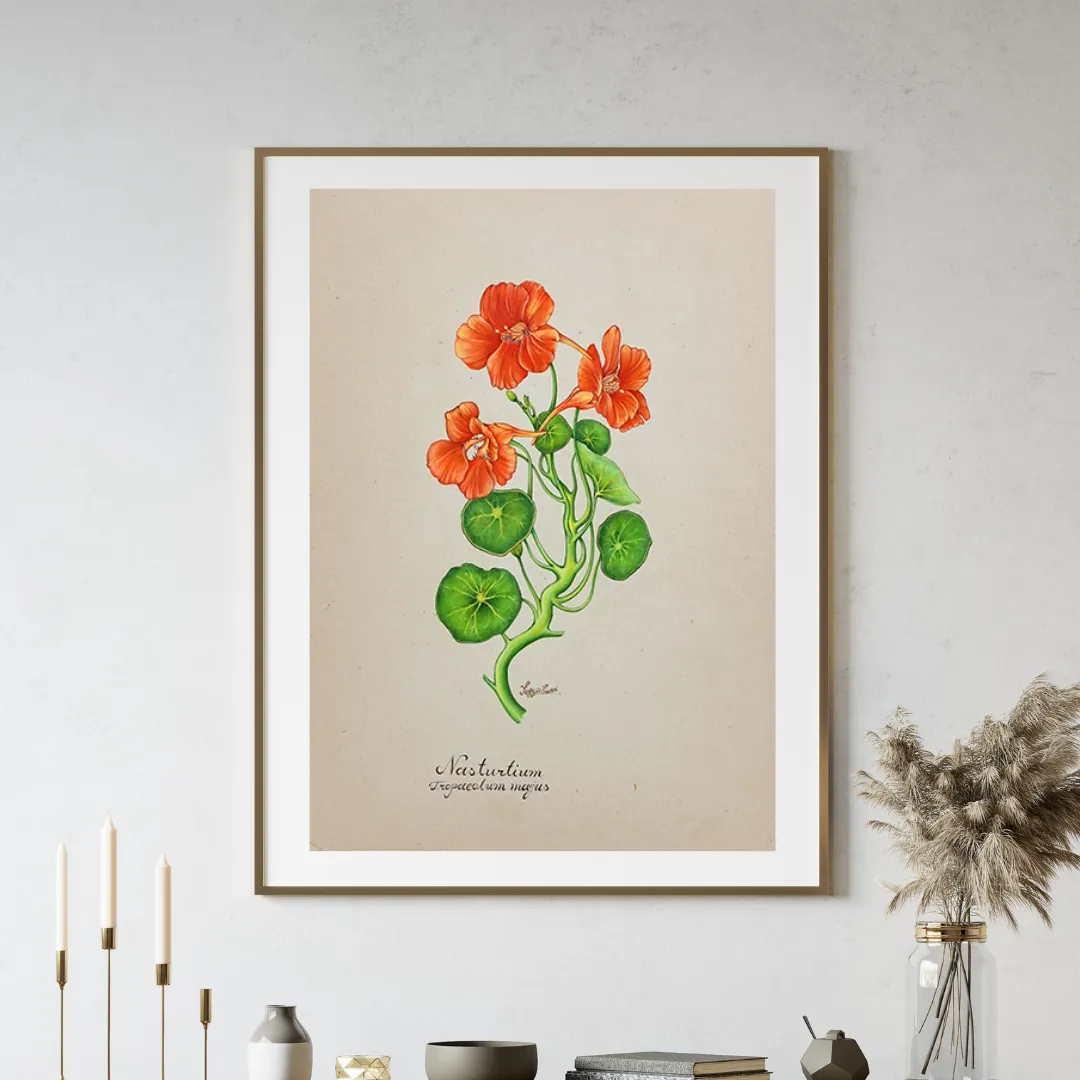 Nasturtium Drift