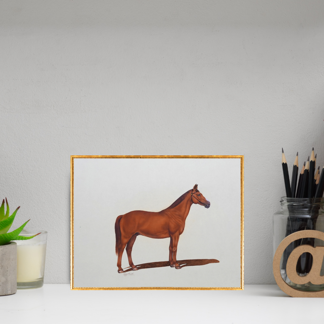 The Brown Silhouette