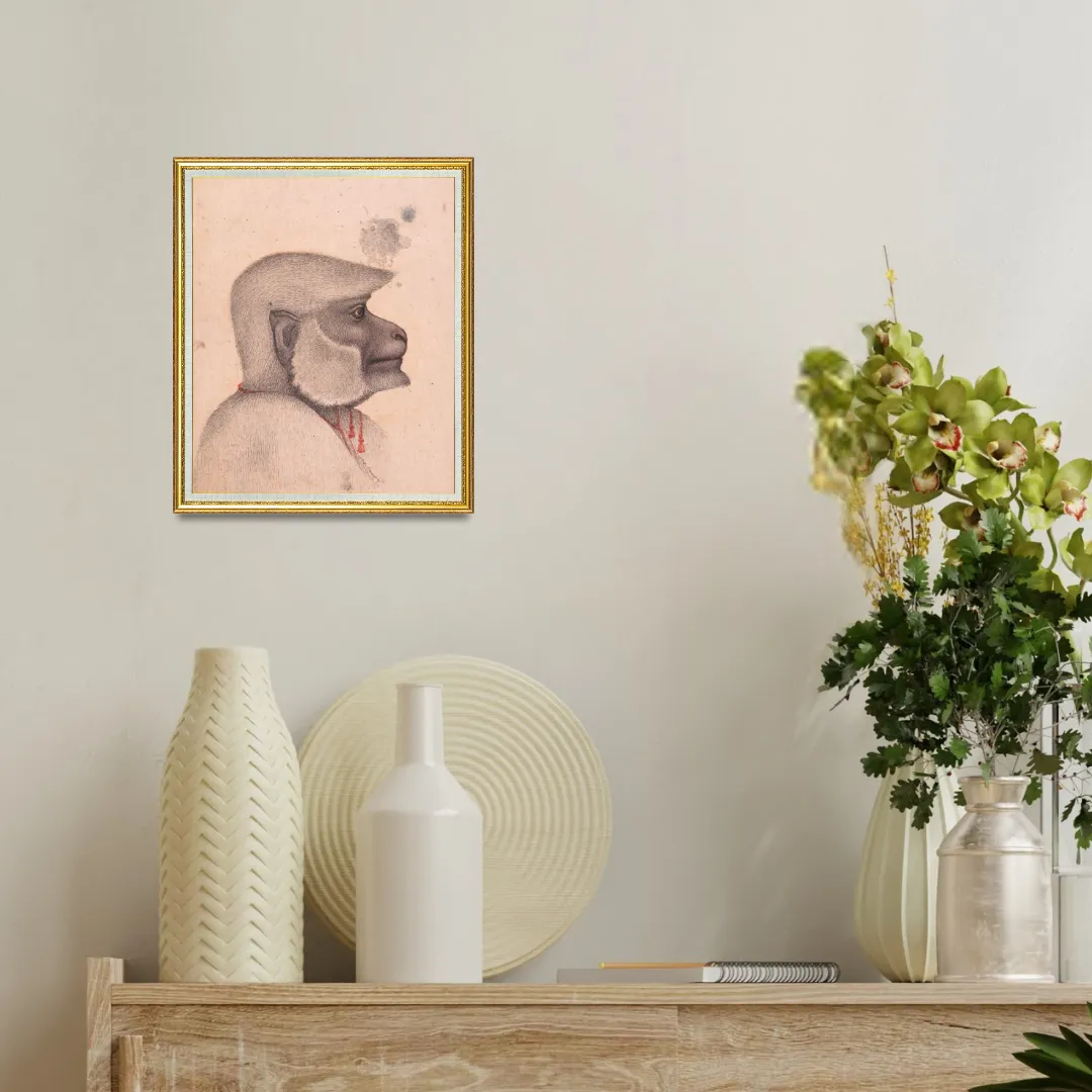 Profile of the Quiet Monkey