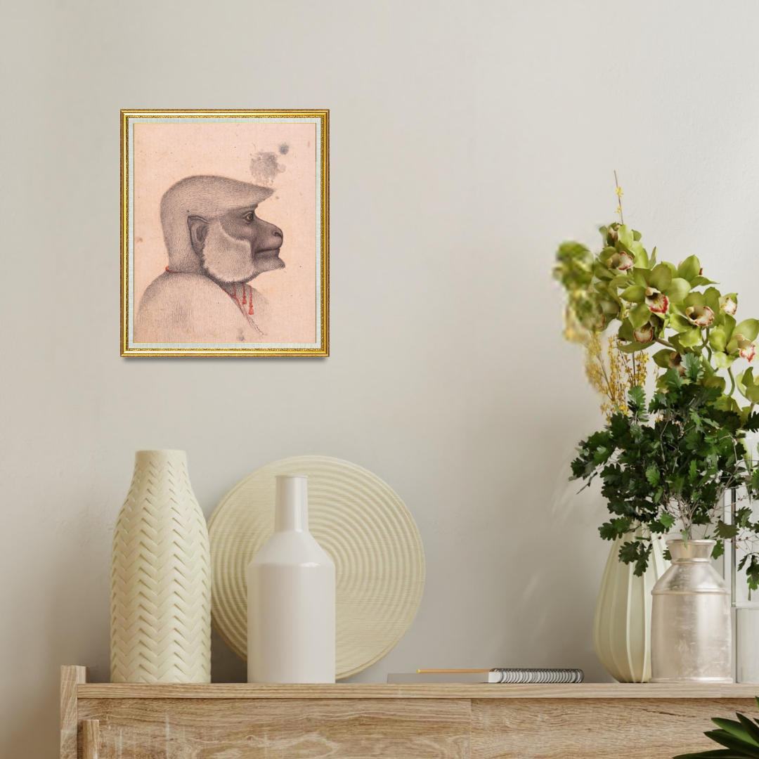 Profile of the Quiet Monkey