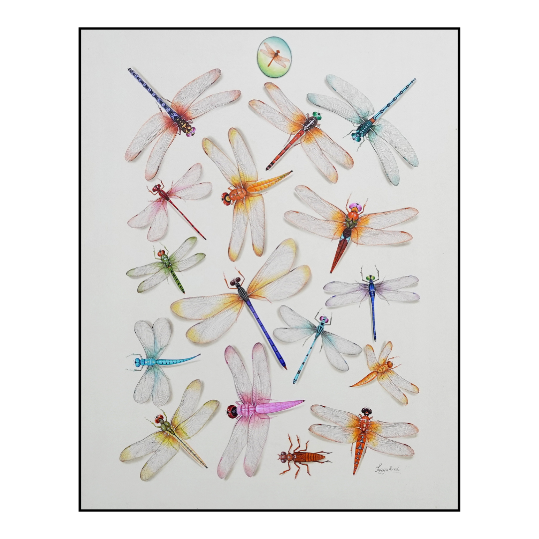 Laces of Air: Fireflies 2