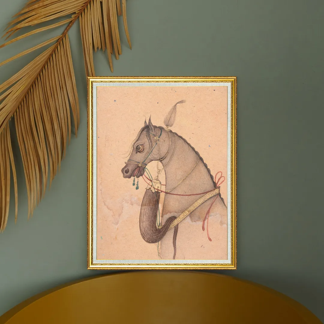 Profile of the Grey Steed