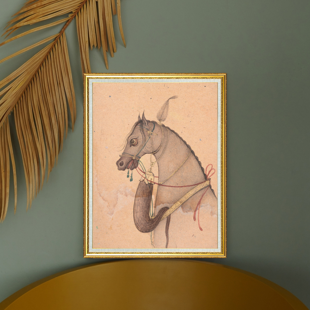 Profile of the Grey Steed