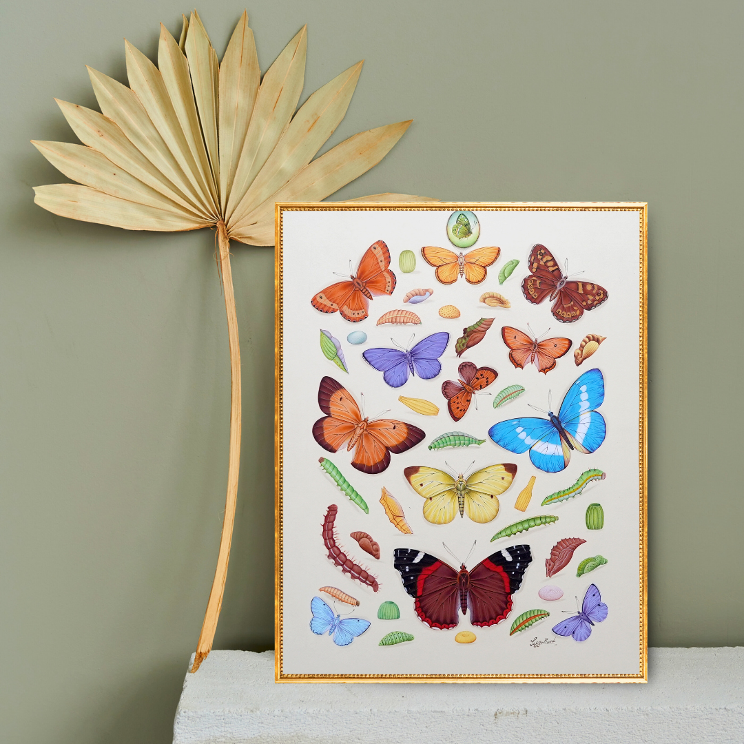 The Spring’s Flight Product Image