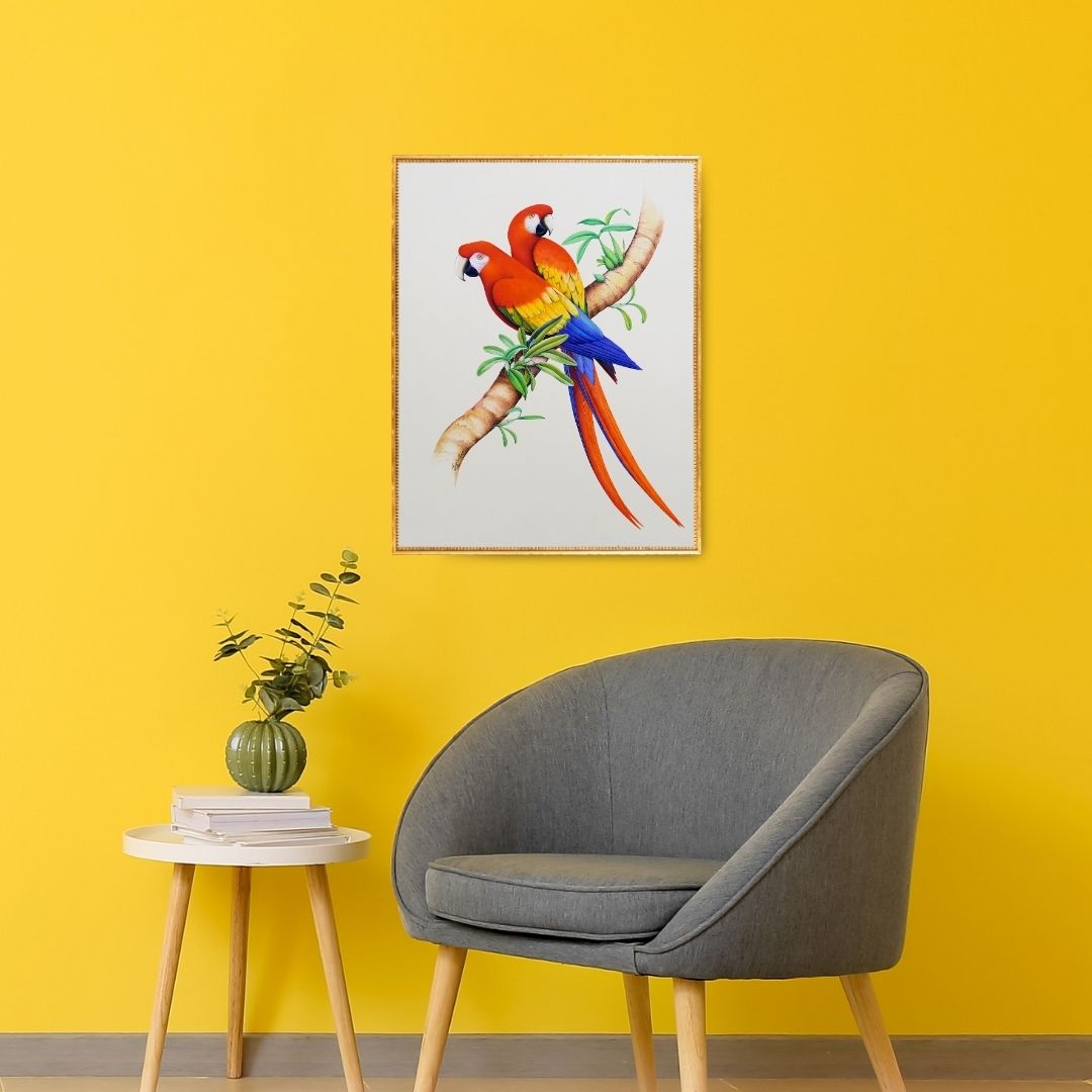 Casual Companionship