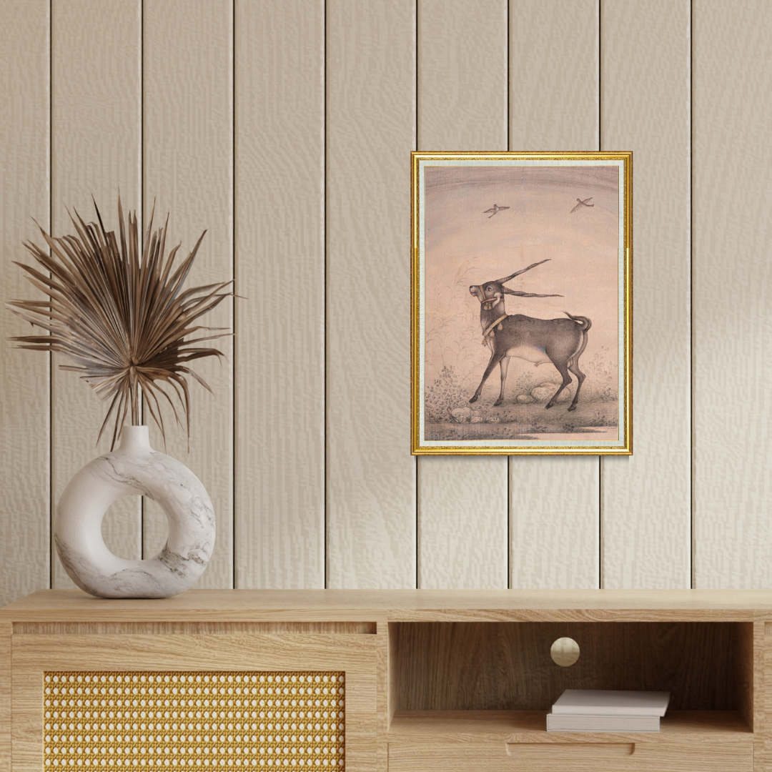 Graceful Step of the Blackbuck