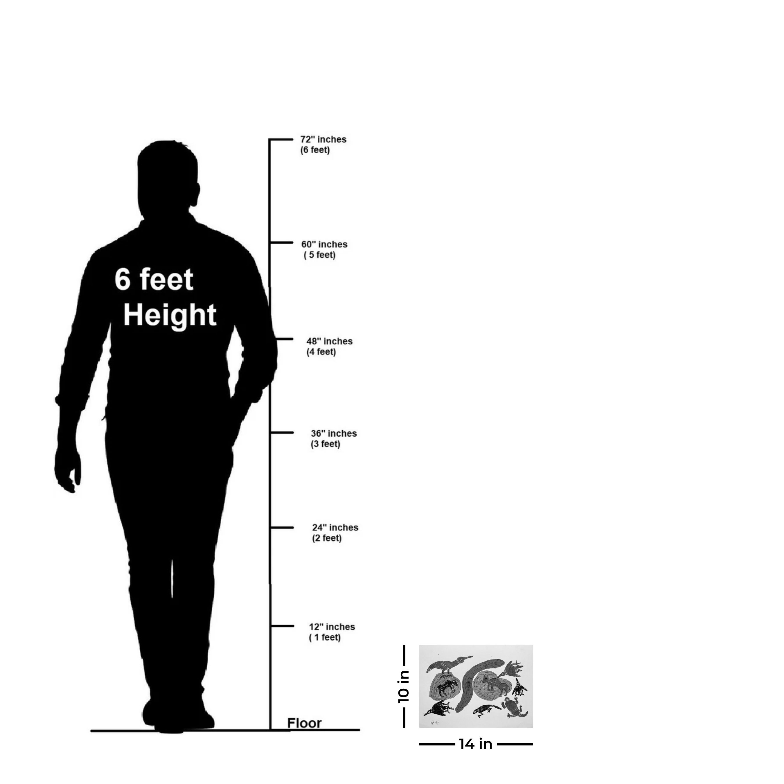 Aquatic and Animal Life