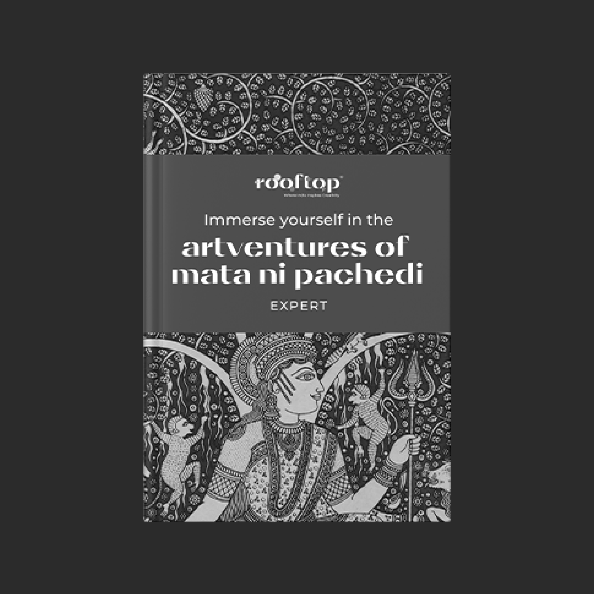 Artventures of Mata Ni Pachedi - Expert Product Image