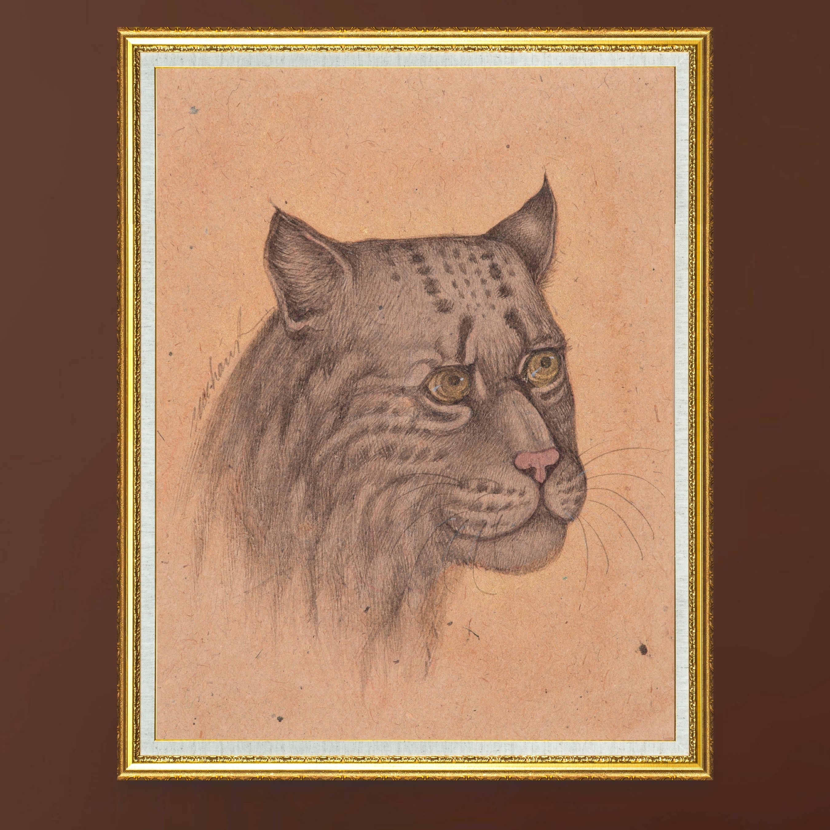 Quiet Strength of the Shadow Wild Cat