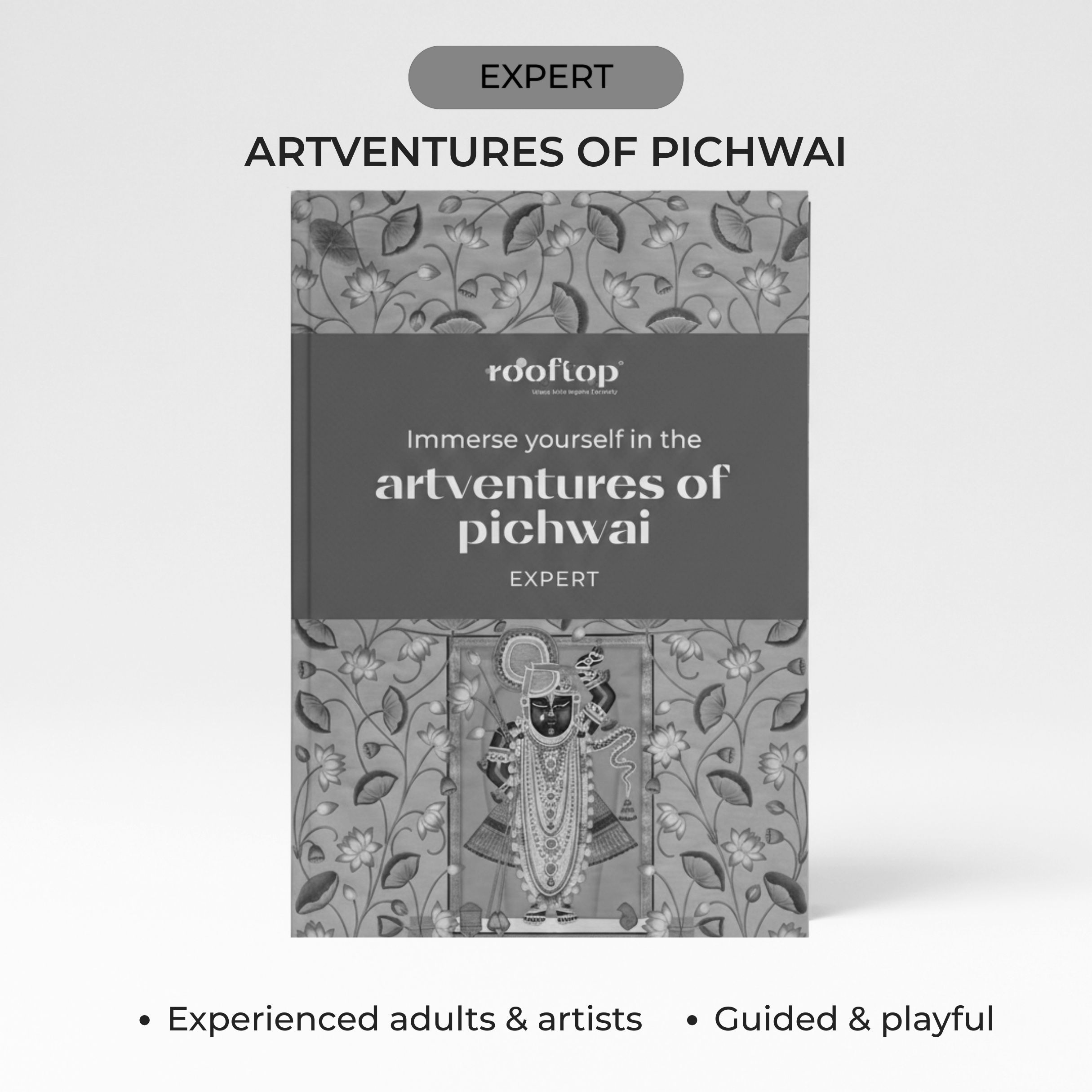 Artventures of Pichwai - Expert
