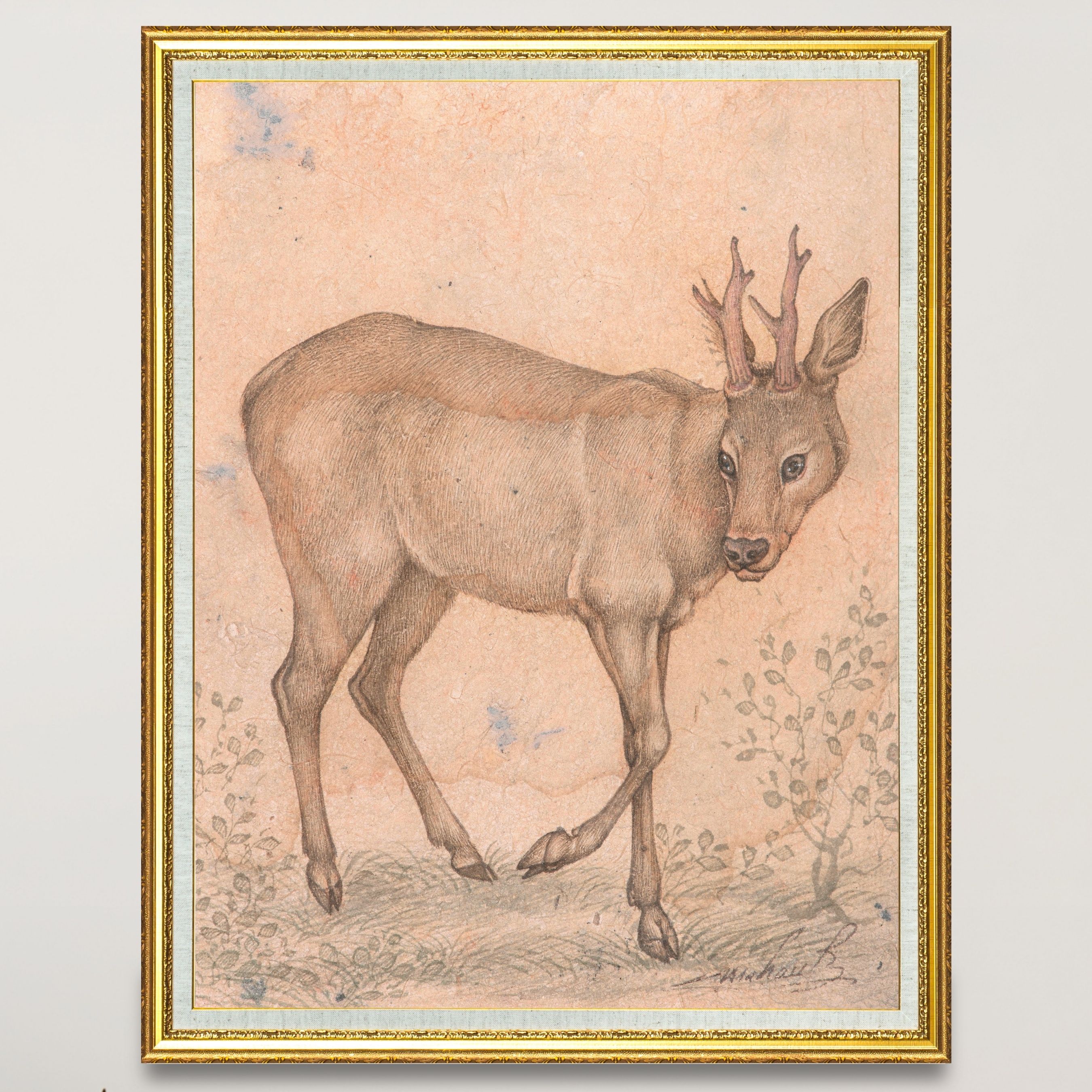 Quiet Turn of the Young Stag