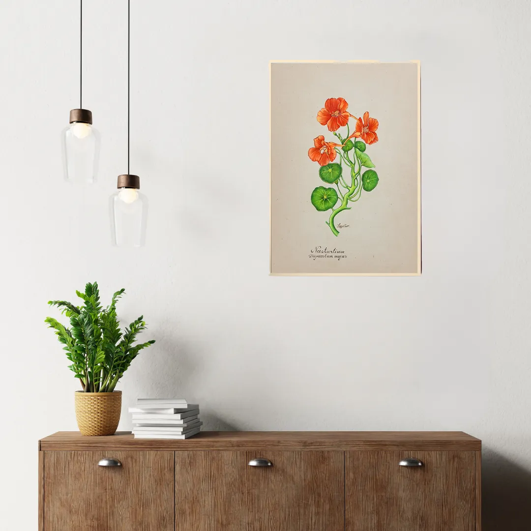 Nasturtium Drift