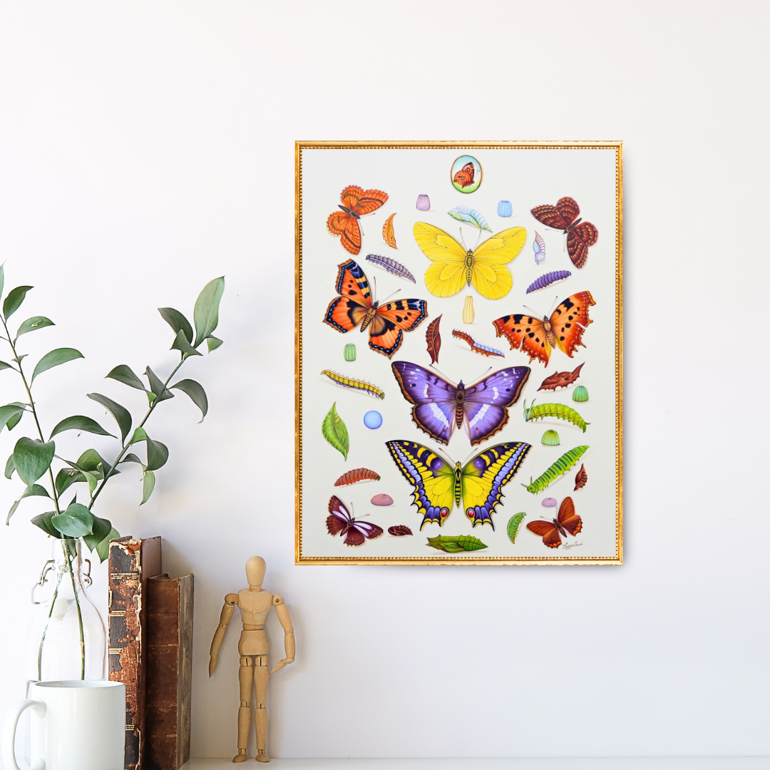 Cosmic Wings Product Image