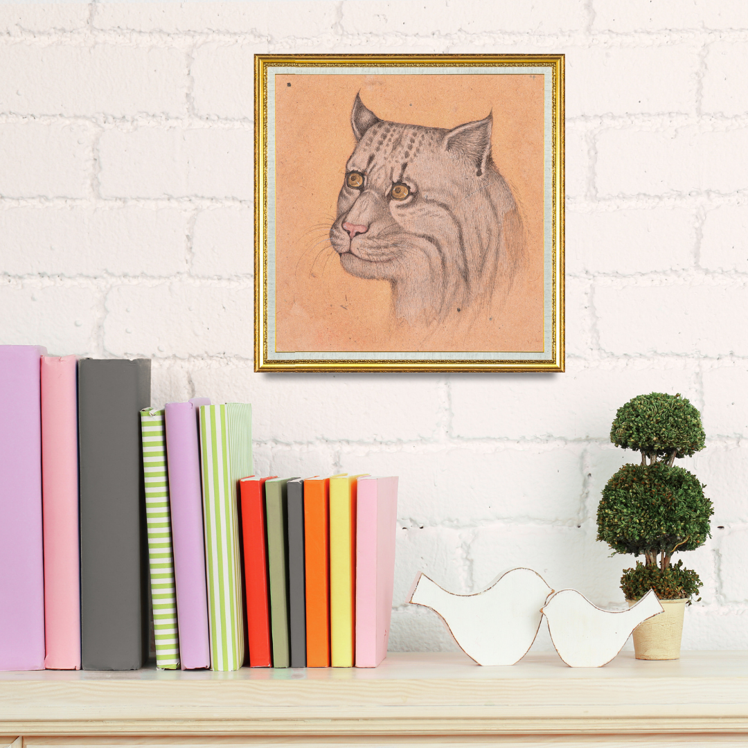 Soft Gaze of the Quiet Wild Cat