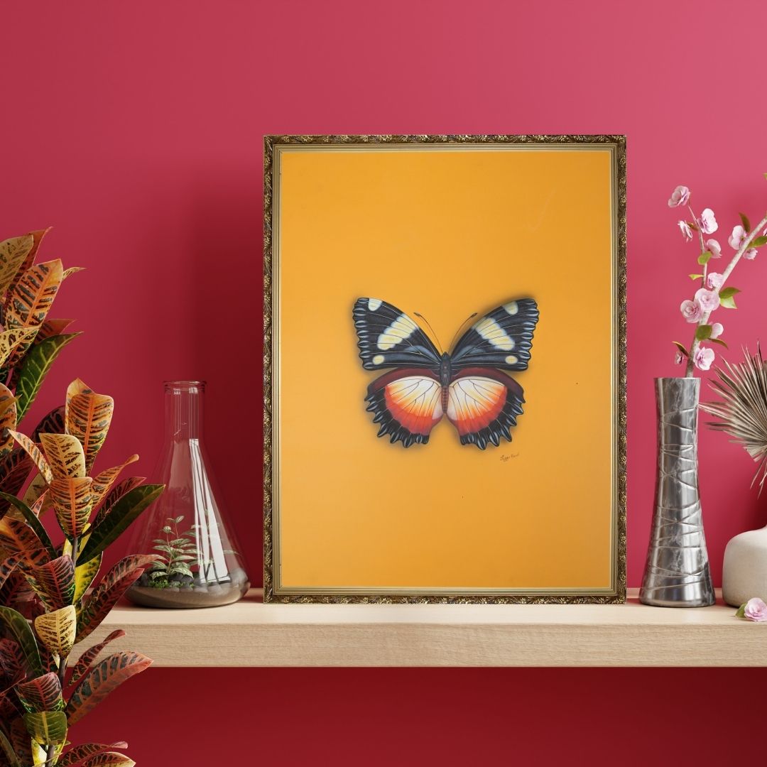 Radiant Wings  Product Image