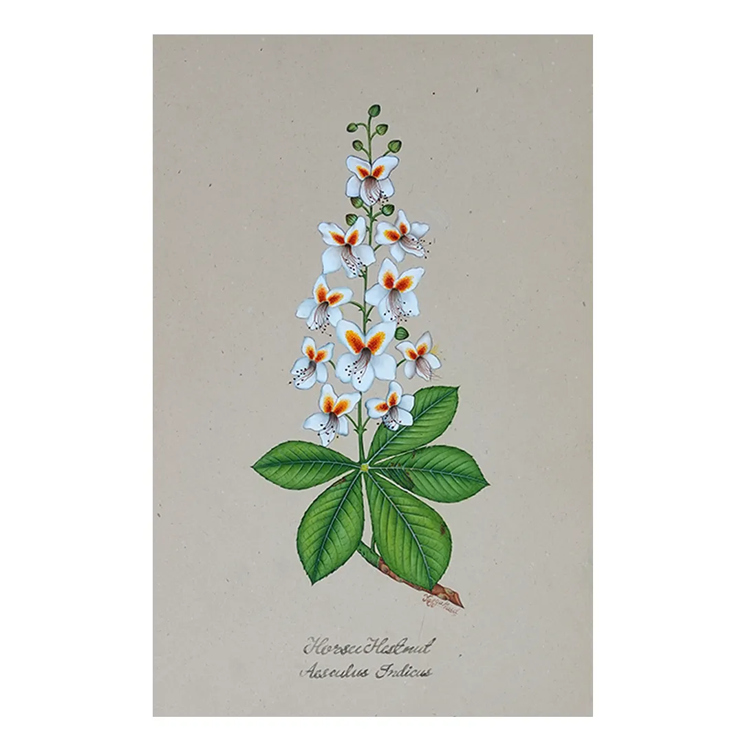 Chestnut Bloom Reverie
