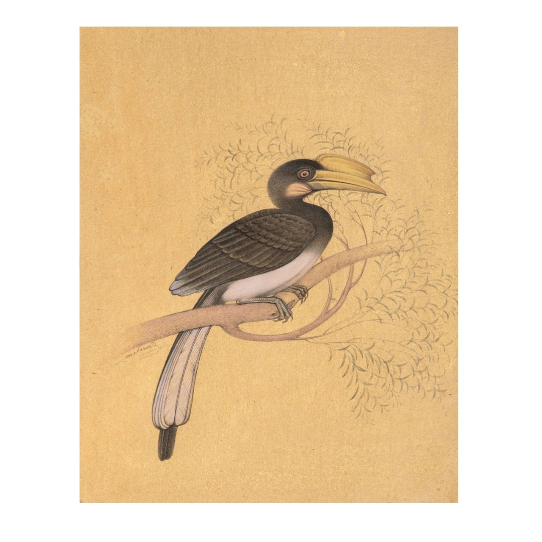 Guardian of the Golden Canopy 