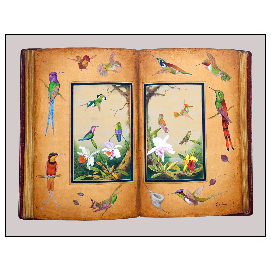 Avian Chronicle - Folio 2