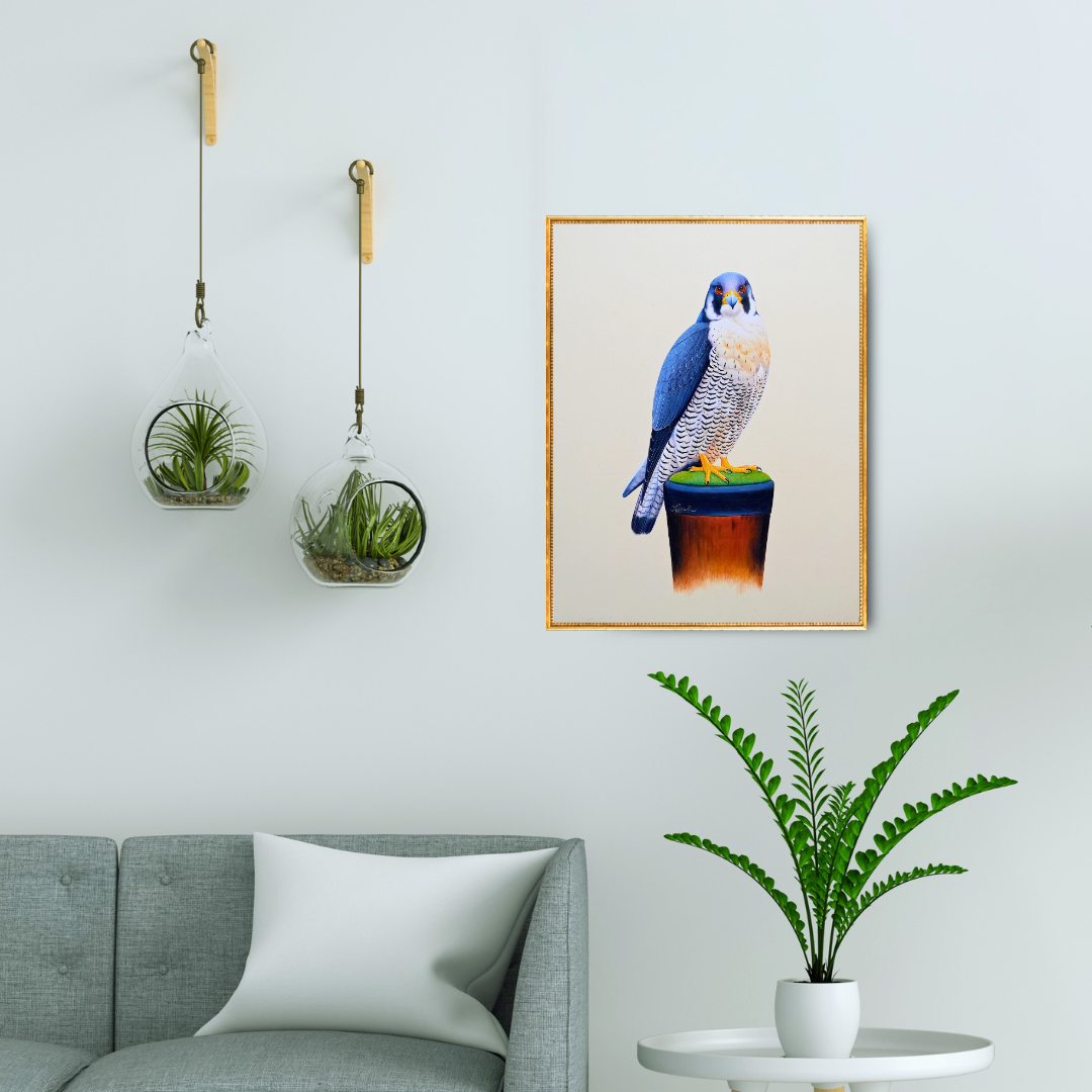 Sovereignty: Falcon Folio 1