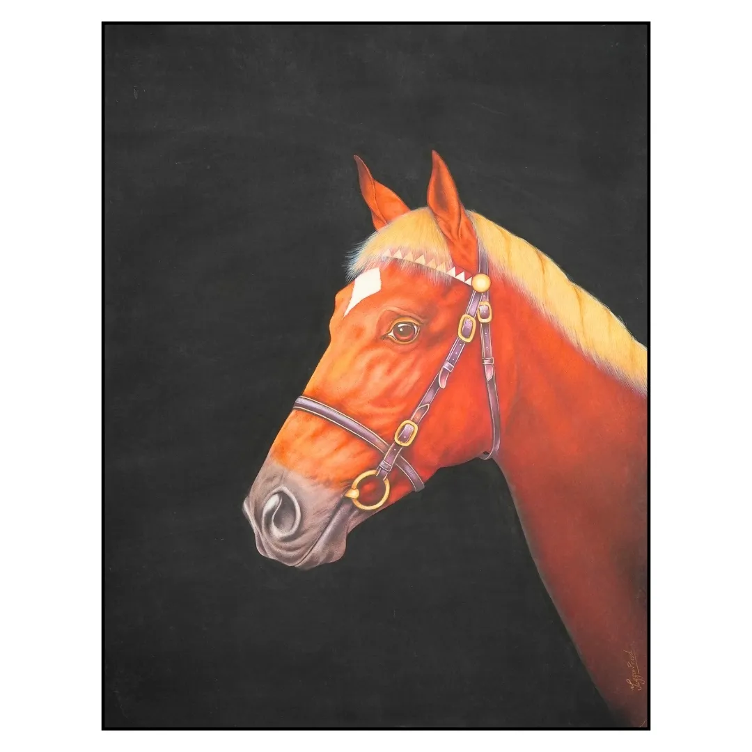 Equine Spirit II