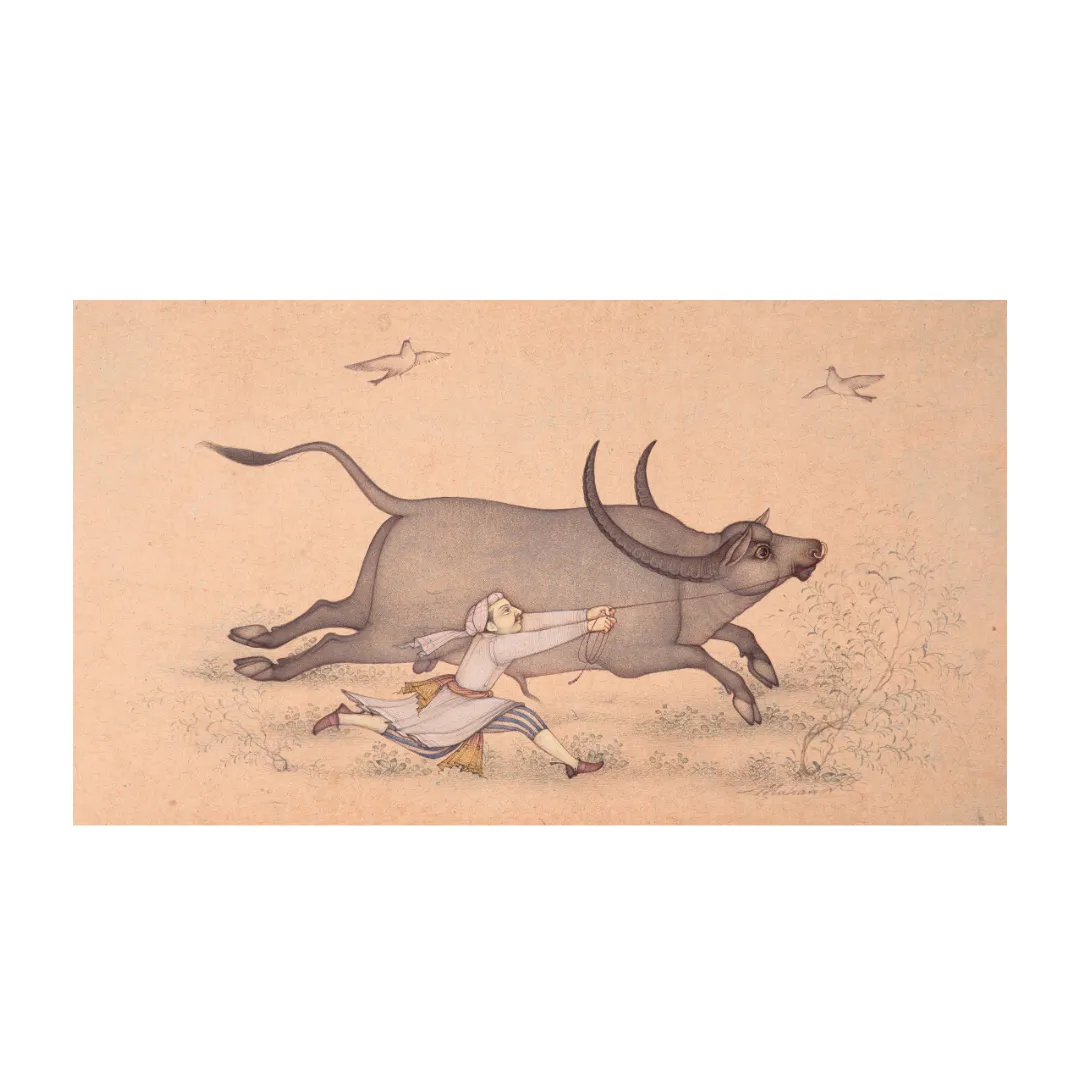 Flight of the Unruly Bull