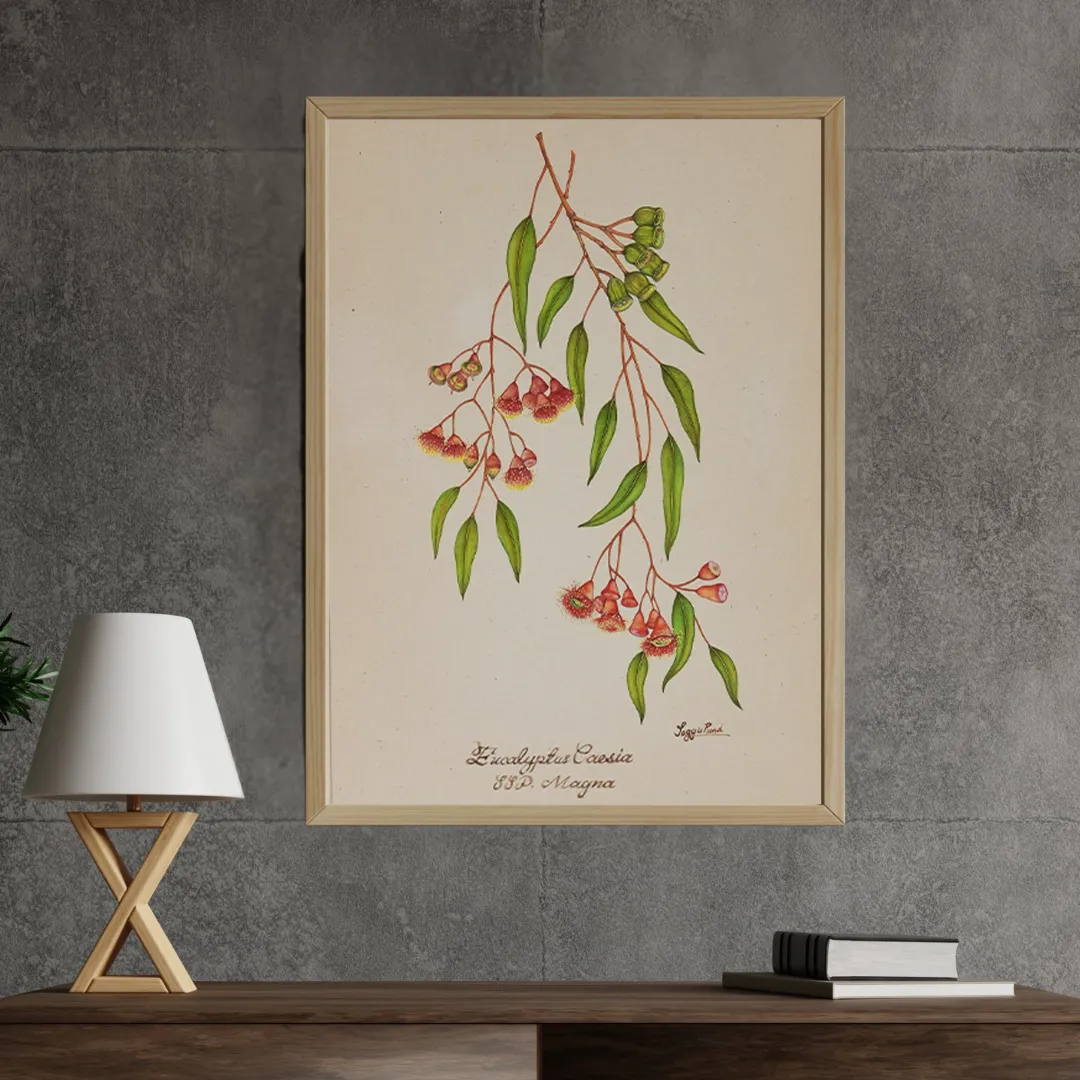 Silverbranch Eucalyptus