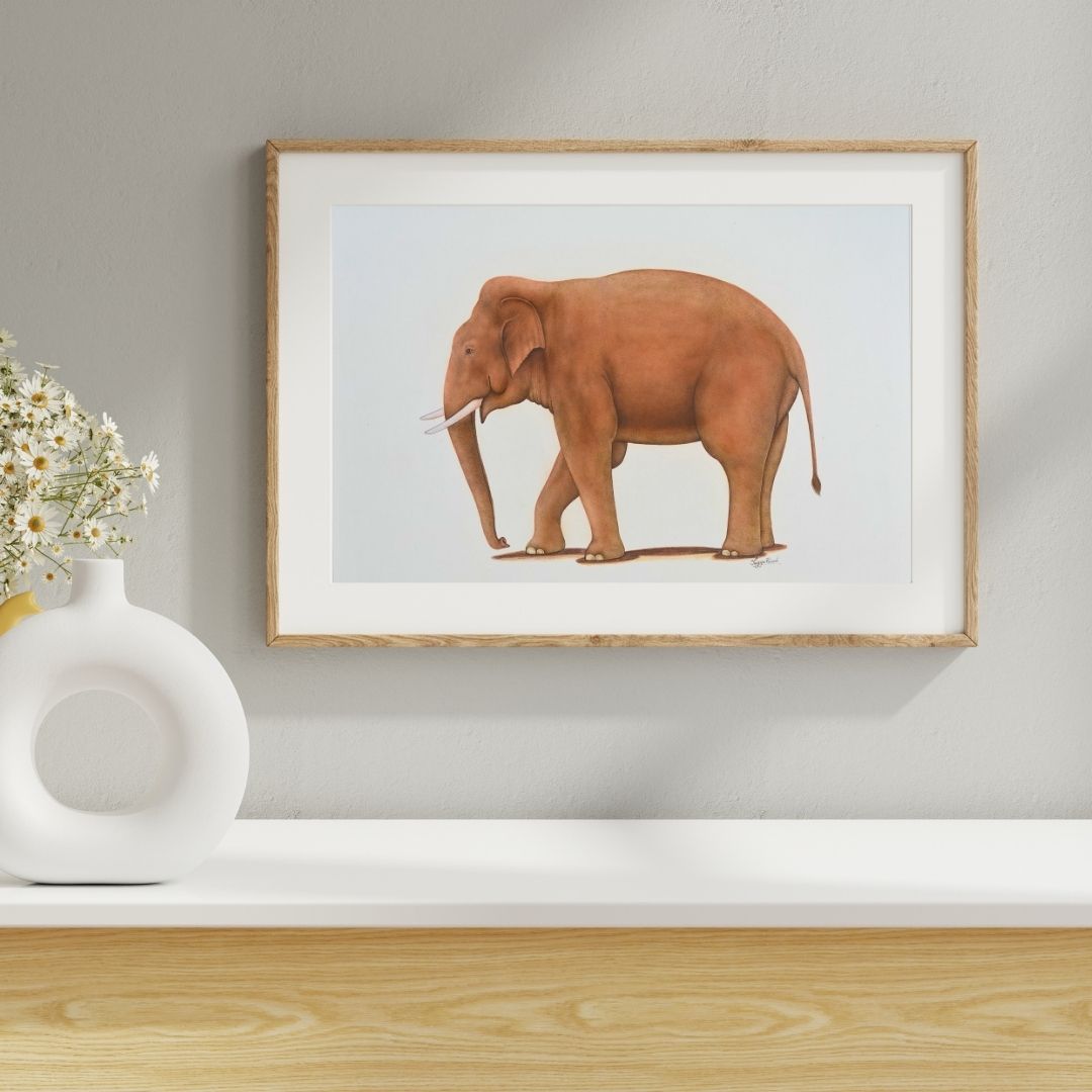 Gentle Giant  Product Image