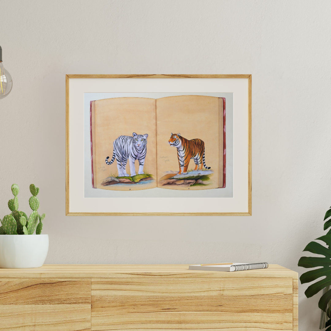 Botanical Compendium 