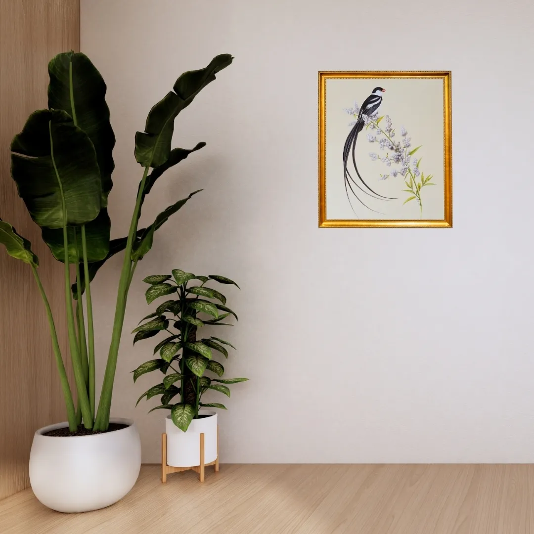 Pin Tailed Whydah Perch