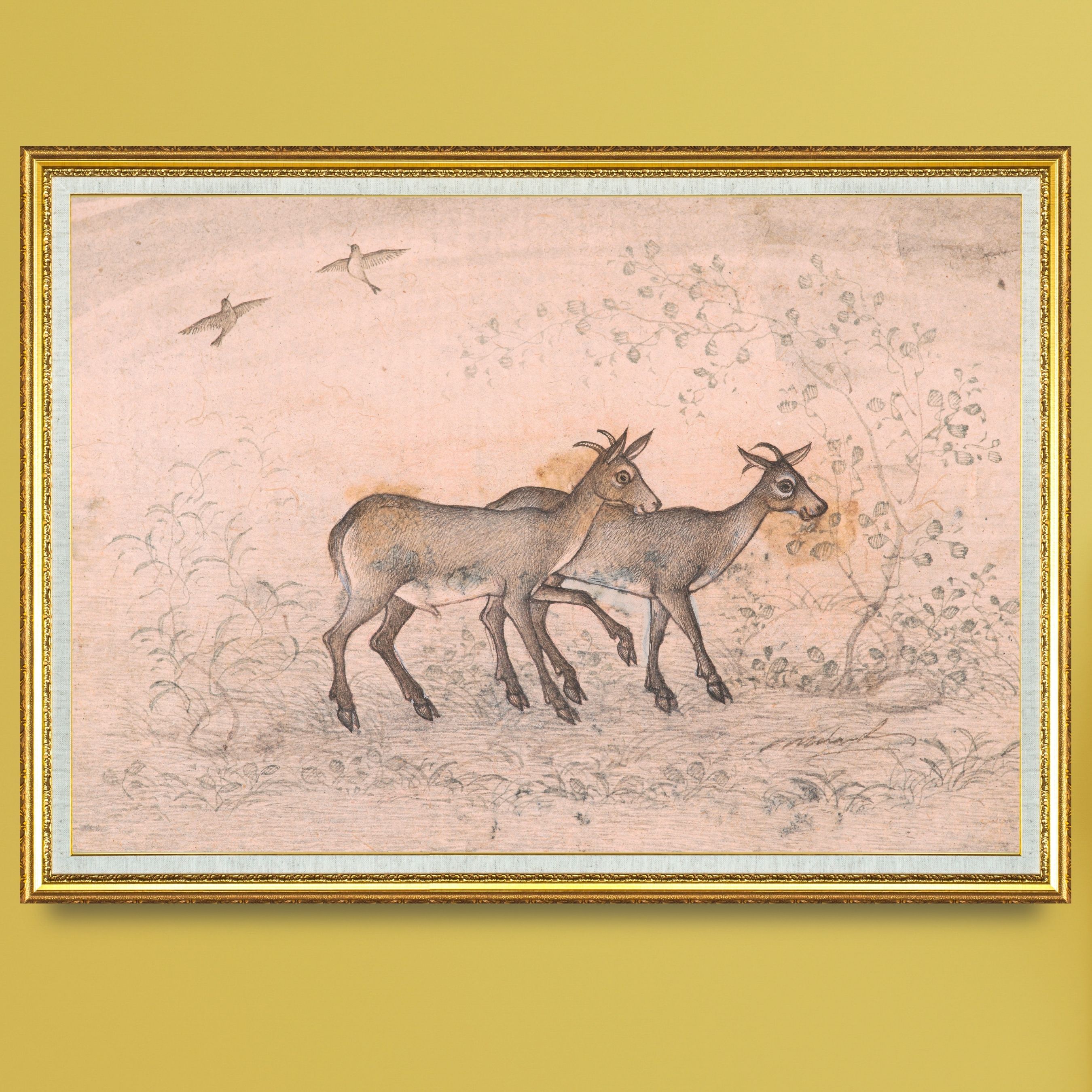 Step of the Twin Deer