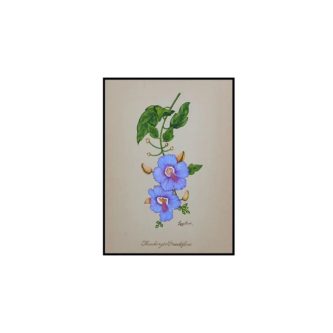 Vine Sonata