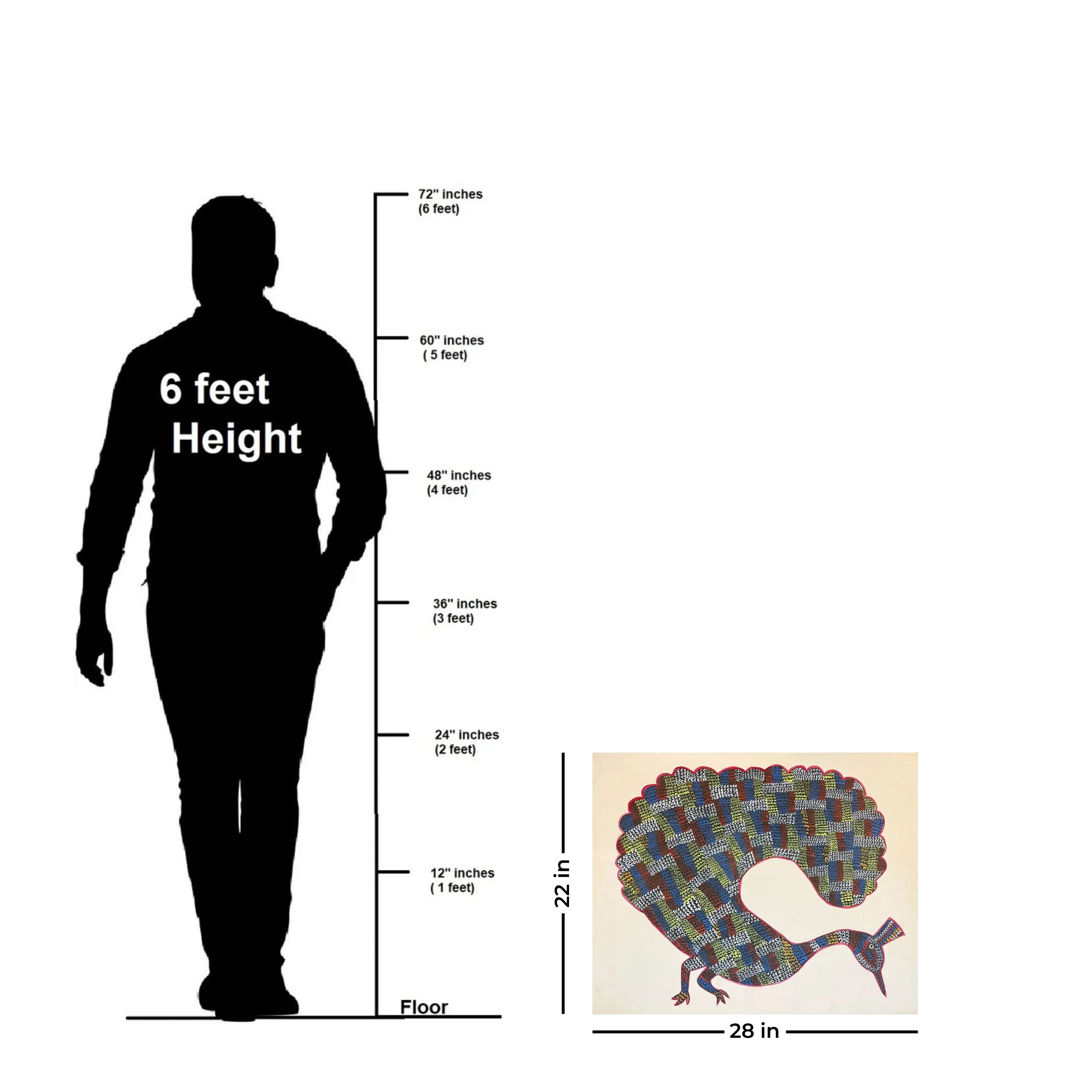Standing Peacock