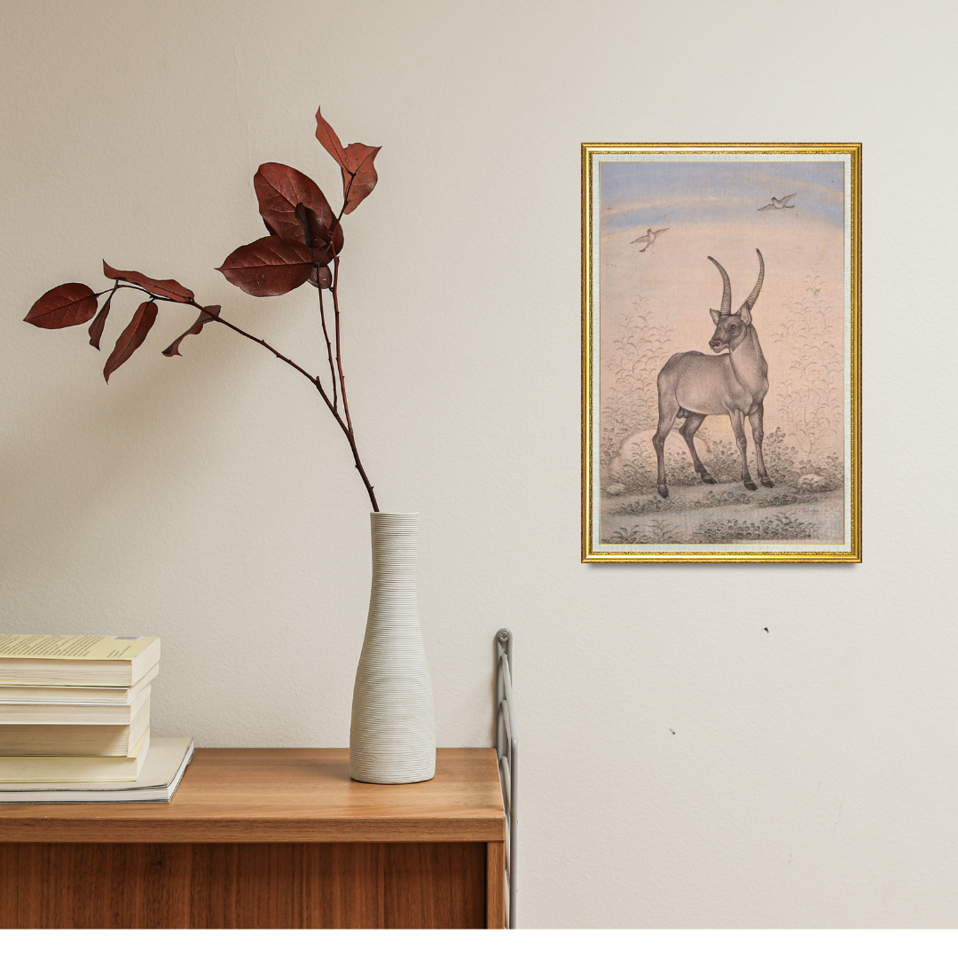 Quiet Stance Under Open Skies