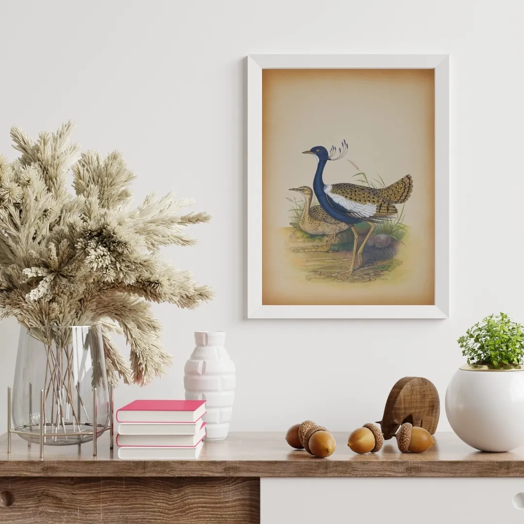 Lilac-breasted Roller Study