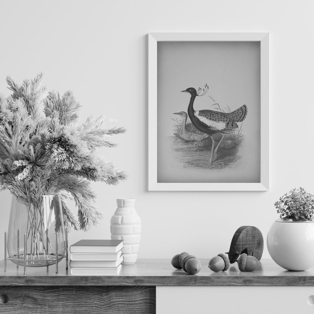 Lilac-breasted Roller Study