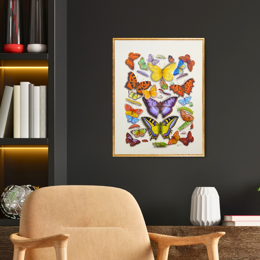 Choreography of Colours